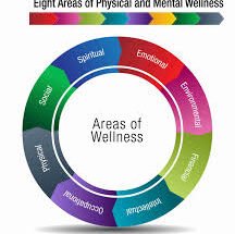 The Importance of Mental Health to Other Established Wellness Areas